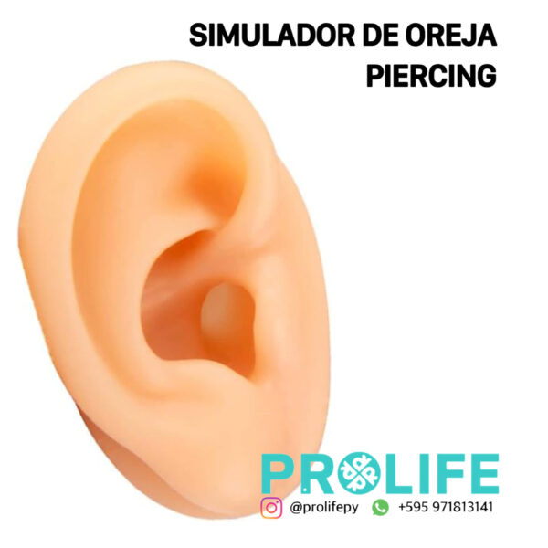 A- SIMULADOR OREJA PARA PIERCING